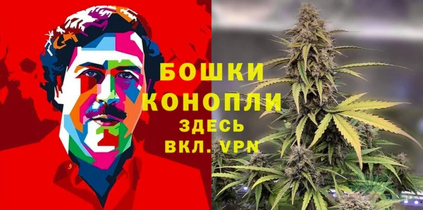 ГАЛЛЮЦИНОГЕННЫЕ ГРИБЫ Богородск