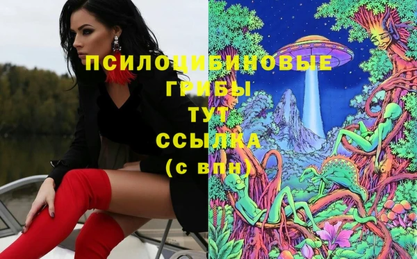 кокс Бородино