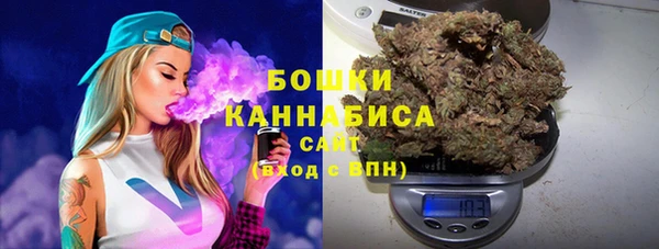 кокс Богородицк